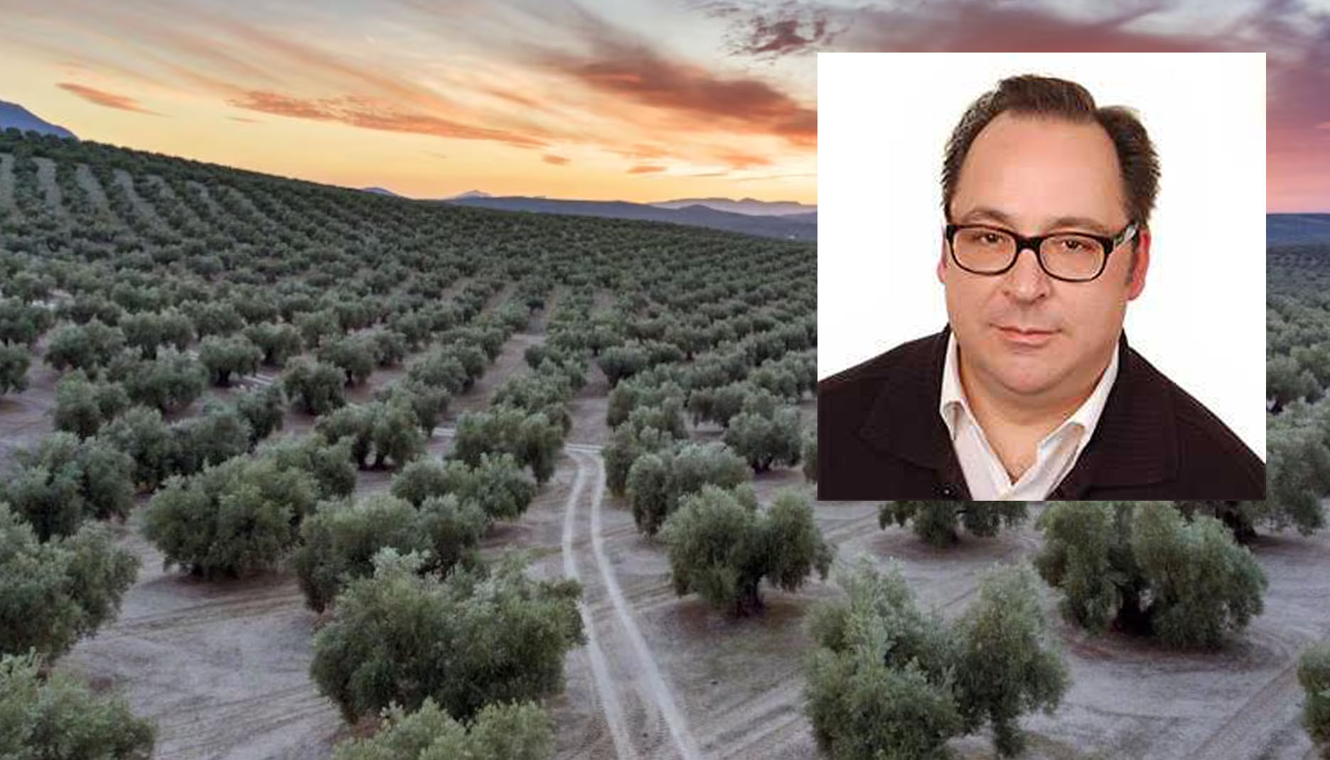 El torrecampeño Luis Parras gana el Premio de Investigación Agraria y Medioambiental 2025 del Instituto de Estudios Giennenses