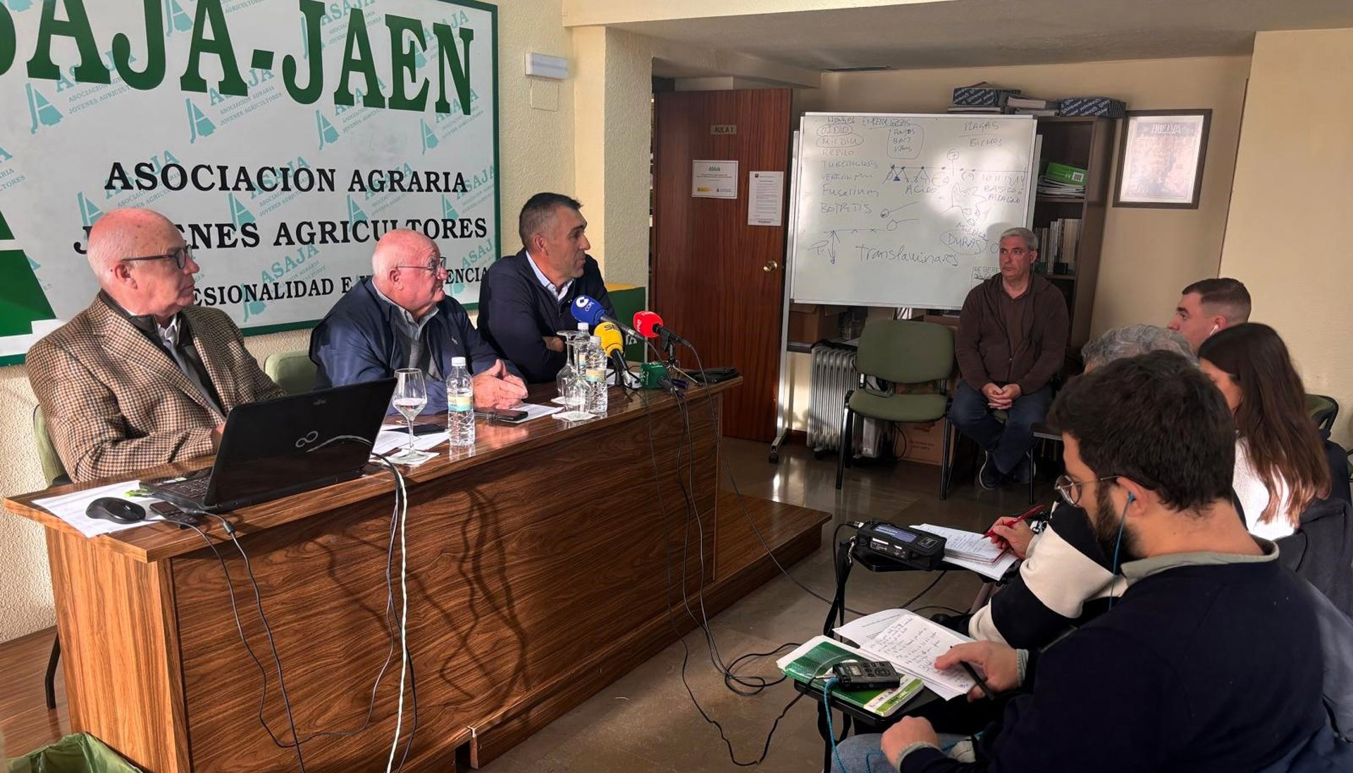 Asaja aboga por la reconversión como única forma de hacer rentable el olivar