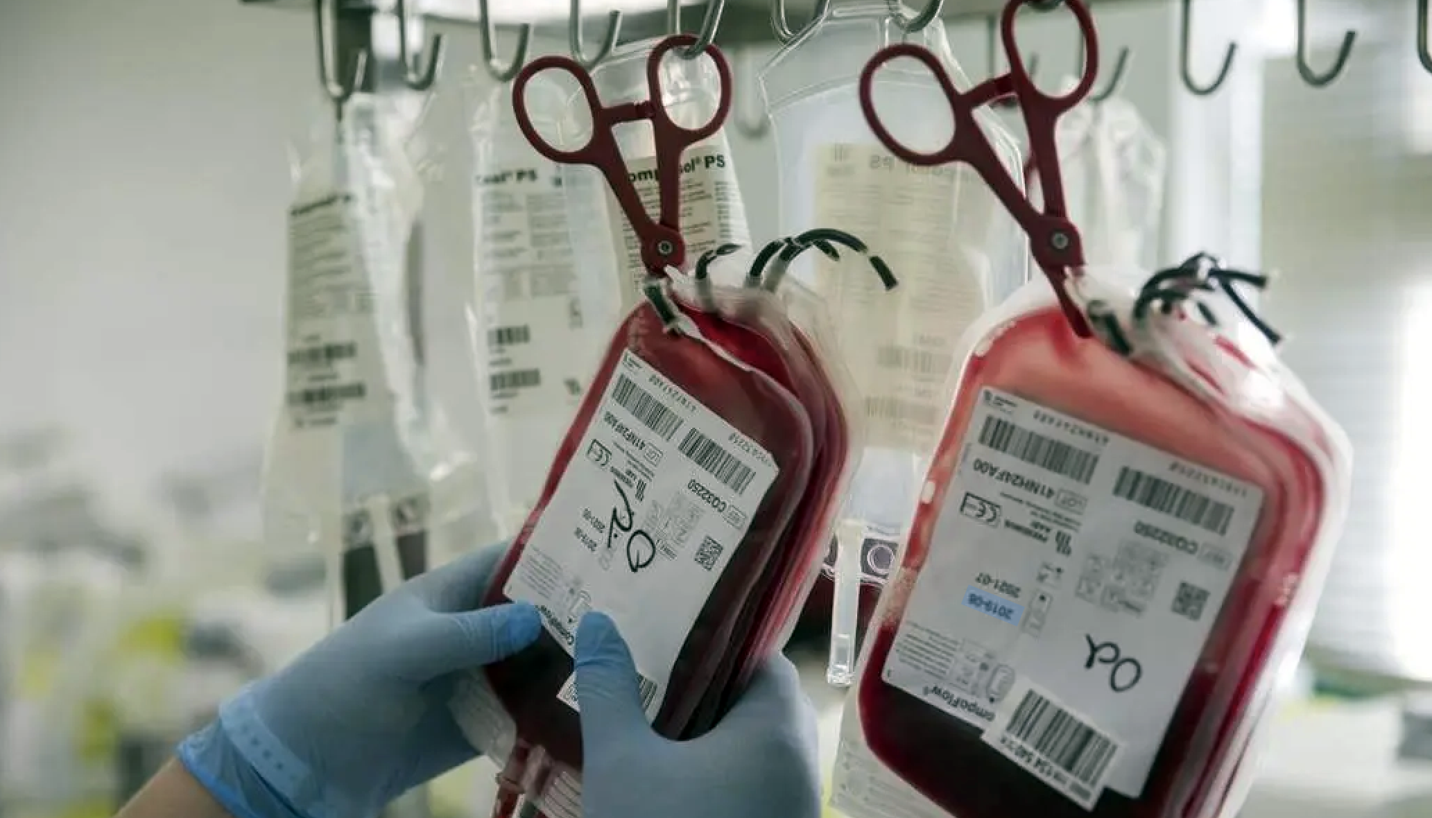 Captura de pantalla 2026-01-30 a las 17.03.05