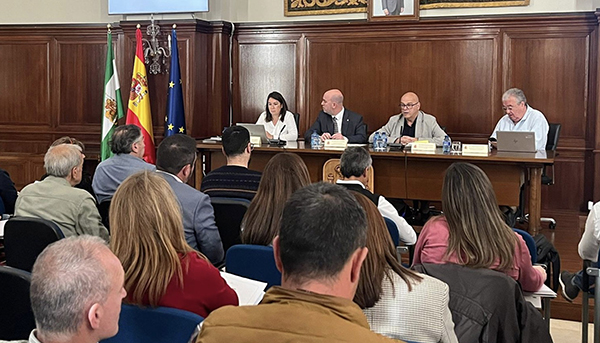 Subdelegación informa a los ayuntamientos de la provincia de las ayudas por el tren de borrascas